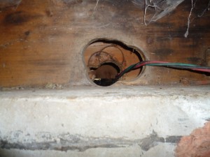 Packrat entry point located in crawlspace (1)